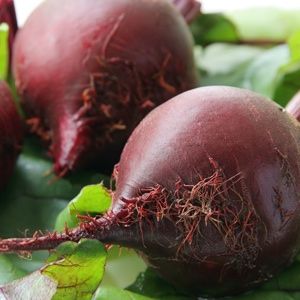 beetroot lower blood pressure