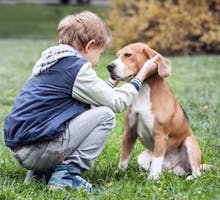 Young boy and puppy