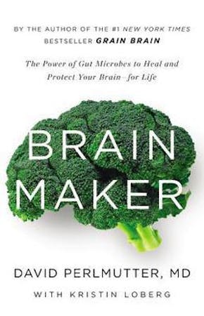 Brain Maker Book Cover