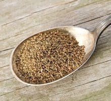 a spoonful of celery seed