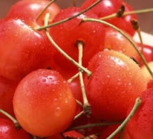 tart cherries belong with natural approaches for arthritis