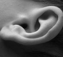 ear of a child