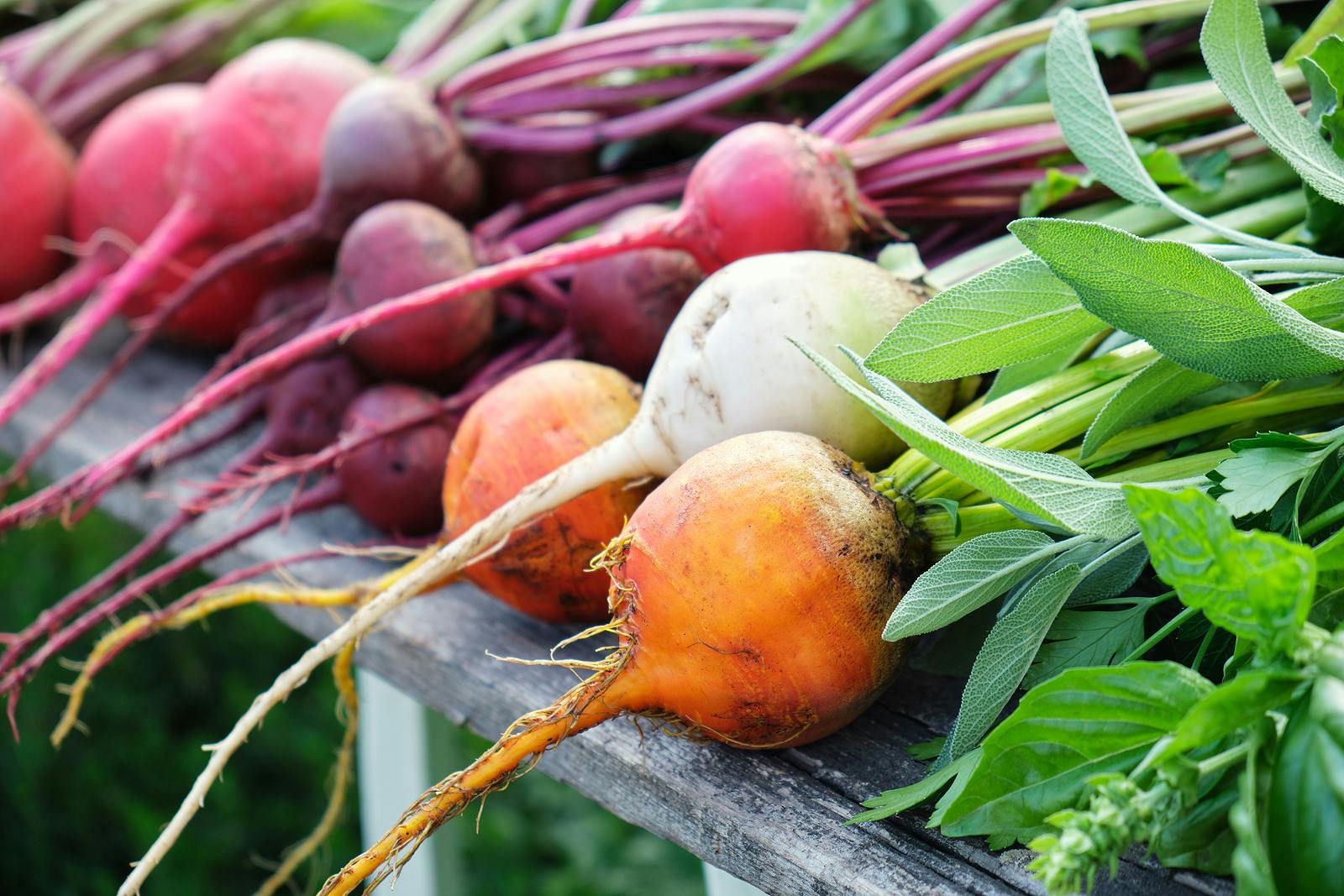 will colorful fresh beets benefit eyesight?