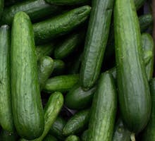 a large assortment of cucumbers