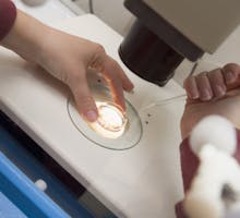 Embryologist adding sperm to egg during IVF treatment