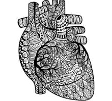 An artistic illustration of a human heart