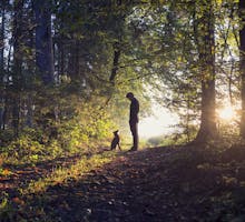 man walking dog in the woods with his dog