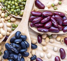 many types of beans to eat are sources of plant protein