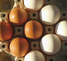 eggs in carton to restrict the number of eggs