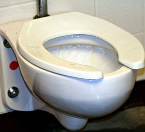 Solutions for Toilet Clogging Bowel Movements | The People's Pharmacy