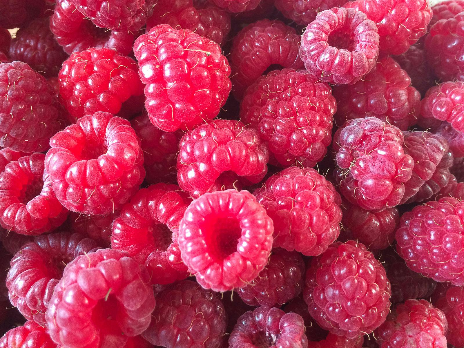 Raspberry Powder to Fight Travelers’ Diarrhea The People's Pharmacy