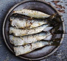 a plate of sardines rich in vitamin D help prevent cancer