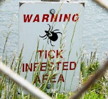 Warning Tick Infested Area sign in a public outdoor space