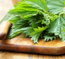 stinging nettle on a cutting board